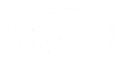 Walt Disney Sign_400 Walt Disney's signature